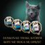 SHEBA Classic in Pate Ocean Selection mix smaków rybnych w formie pasztetu Biała Ryba, dorsz, łosoś i tuńczyk 32x85g