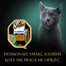 SHEBA Classics tacka 85 g w terynie z dziczyzną