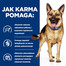 HILL'S Prescription Diet Canine Gastrointestinal Biome Digestive Care Stew z kurczakiem i marchewką 354 g w puszce