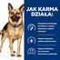 HILL'S Prescription Diet Canine Gastrointestinal Biome Digestive Care Stew z kurczakiem i marchewką 354 g w puszce