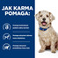HILL'S Prescription Diet Canine w/d Diabetes Care z kurczakiem 370 g w puszce
