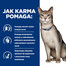 HILL'S Prescription Diet Feline k/d Kidney Care z kurczakiem 12x85 g w saszetkach