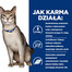 HILL'S Prescription Diet Feline k/d Kidney Care z kurczakiem 12x85 g w saszetkach