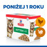 HILL'S Science Plan Feline Kitten Multipack Chicken & Turkey 85 g x12 Szt.