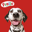 FROLIC Naturally Irresistible 2,6 kg półwilgotna karma dla psów ze świeżą wołowiną