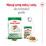 ROYAL CANIN Mini Adult 12+ 3.5 kg karma sucha dla psów dojrzałych po 12 roku życia, ras małych