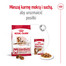 ROYAL CANIN Medium Ageing 10+ 15 kg karma sucha dla psów dojrzałych po 10 roku życia, ras średnich