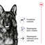 ROYAL CANIN Maxi Ageing 8+ 3 kg karma sucha dla psów dojrzałych, po 8 roku życia, ras dużych