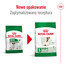 ROYAL CANIN Mini Adult 8+ 800 g karma sucha dla psów starszych od 8 do 12 roku życia, ras małych