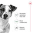 ROYAL CANIN Mini Adult 8+ 2 kg karma sucha dla psów starszych od 8 do 12 roku życia, ras małych