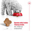 ROYAL CANIN Mini Adult 8+ 2 kg karma sucha dla psów starszych od 8 do 12 roku życia, ras małych