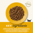 APPLAWS Cat Kitten Chicken 2 kg bezzbożowa karma z kurczakiem dla kociąt