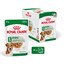 ROYAL CANIN Mini ageing 12+ karma mokra w sosie dla psów dojrzałych po 12 roku życia, ras małych