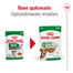 ROYAL CANIN Mini ageing 12+ karma mokra w sosie dla psów dojrzałych po 12 roku życia, ras małych