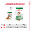 ROYAL CANIN Mini ageing 12+ karma mokra w sosie dla psów dojrzałych po 12 roku życia, ras małych