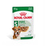 ROYAL CANIN Mini ageing 12+ karma mokra w sosie dla psów dojrzałych po 12 roku życia, ras małych