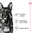 ROYAL CANIN Maxi Adult 15 kg karma sucha dla psów dorosłych, do 5 roku życia, ras dużych