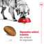 ROYAL CANIN Maxi Adult 15 kg karma sucha dla psów dorosłych, do 5 roku życia, ras dużych