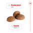 ROYAL CANIN Medium adult 7+ 10 kg sucha karma dla psów powyżej 7 roku życia, ras średnich