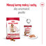 ROYAL CANIN Medium adult 7+ 10 kg sucha karma dla psów powyżej 7 roku życia, ras średnich