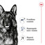 ROYAL CANIN Maxi Adult 5+ 15 kg karma sucha dla psów starszych, od 5 do 8 roku życia, ras dużych