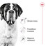 ROYAL CANIN Giant Adult 15kg karma sucha dla psów dorosłych, od 18/24 miesiąca życia, ras olbrzymich