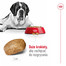 ROYAL CANIN Giant Adult 15kg karma sucha dla psów dorosłych, od 18/24 miesiąca życia, ras olbrzymich