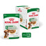 ROYAL CANIN Mini adult 12x85 g mokra karma dla psów małych ras