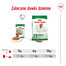 ROYAL CANIN Mini adult 12x85 g mokra karma dla psów małych ras