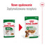 ROYAL CANIN Mini Adult karma mokra w sosie dla psów dorosłych, ras małych 85 g