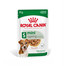 ROYAL CANIN Mini ageing 12+ karma mokra w sosie dla psów dojrzałych po 12 roku życia, ras małych