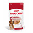 ROYAL CANIN Medium Adult karma mokra w sosie dla psów dorosłych ras średnich
