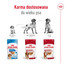 ROYAL CANIN Medium Adult karma mokra w sosie dla psów dorosłych ras średnich