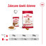 ROYAL CANIN Medium Adult karma mokra w sosie dla psów dorosłych ras średnich
