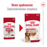 ROYAL CANIN Medium Adult karma mokra w sosie dla psów dorosłych ras średnich
