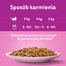 WHISKAS Adult saszetka 85g mokra karma dla dorosłych kotów w sosie z łososiem
