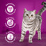 WHISKAS Adult saszetka 4x85g Kremowe Wariacje mokra karma dla dorosłych kotów w sosie z: kurczakiem i warzywami, jagnięciną i indykiem