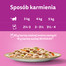 WHISKAS Adult saszetka 4x85g Kremowe Wariacje mokra karma dla dorosłych kotów w sosie z: kurczakiem i warzywami, jagnięciną i indykiem