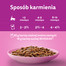 WHISKAS Junior saszetka 4x85g Klasyczne Posiłki mokra karma dla kociąt w sosie z wołowiną i kurczakiem