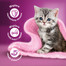 WHISKAS Junior saszetka 4x85g Klasyczne Posiłki mokra karma dla kociąt w sosie z wołowiną i kurczakiem