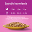 WHISKAS Senior saszetka 4x85g Drobiowa Uczta mokra karma dla starszych kotów w galaretce z: kurczakiem, indykiem