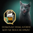 SHEBA Classic tacka pasztet dla kota