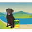 JOSERA JosiDog puszka w sosie 415g dla dorosłych psów