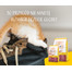 JOSERA Kitten 10 kg sucha karma dla kociąt i kotek ciężarnych lub karmiących