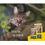 JOSERA Nature Cat karma bezzbożowa dla kota 10 kg
