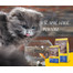 JOSERA Cat Marinesse karma hipoalergiczna 10 kg
