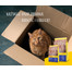 JOSERA Daily Cat 2 kg bezzbożowa karma dla dorosłych kotów