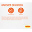 JOSERA Filet saszetka 16 x 70g