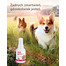 BEAPHAR Fiprotec Spray 100 ml Spray na kleszcze dla psa i kota