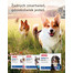 BEAPHAR Vermicon Line-On Dog L Krople Przeciw Pchłom i Kleszczom Duże Psy 3x4,5 ml
